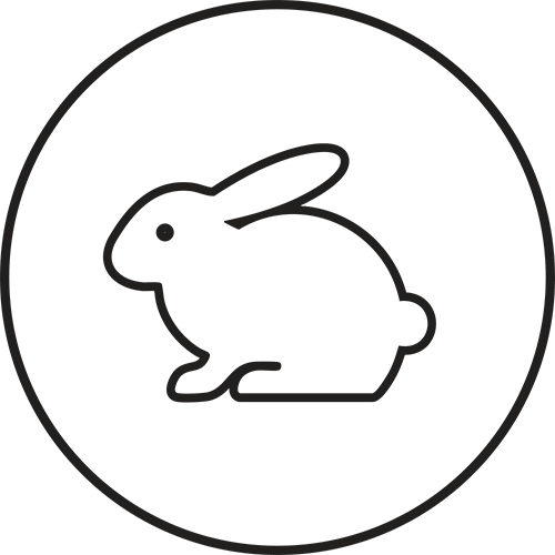 Not tested on animals