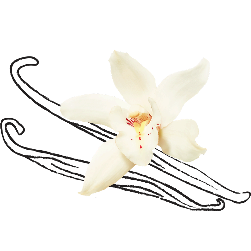 Vanilla ingredient