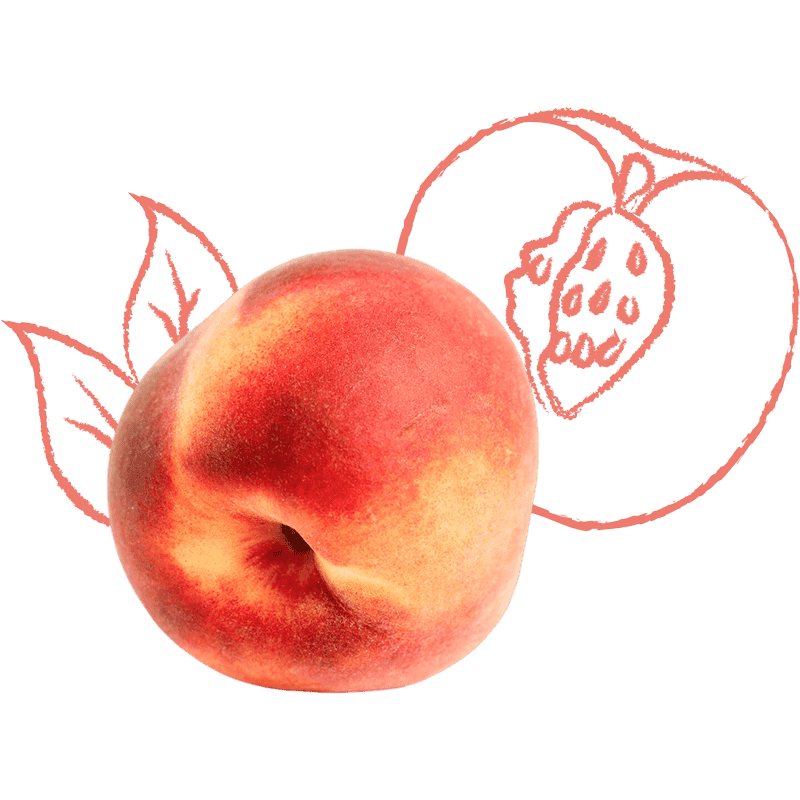 Peach ingredient